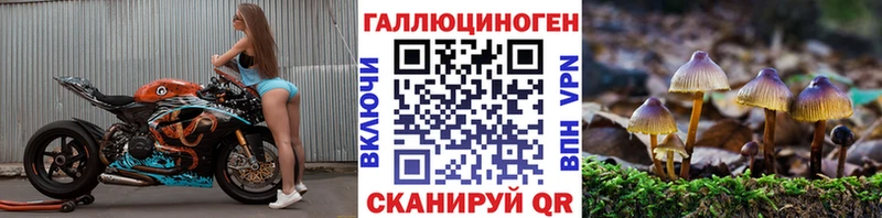 Галлюциногенные грибы мухоморы blacksprut ССЫЛКА Новоржев